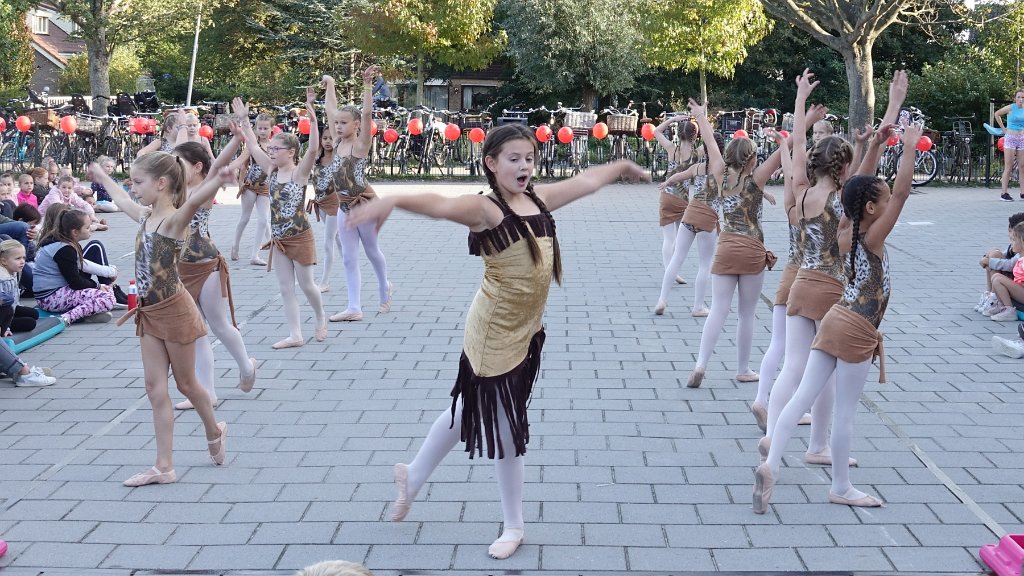 Schoolplein Festival A138.jpg